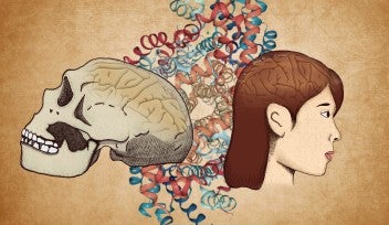 ヒト進化ゲノミクスユニット | 沖縄科学技術大学院大学（OIST）